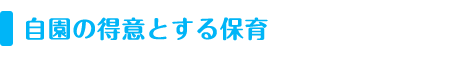 自園の得意とする保育